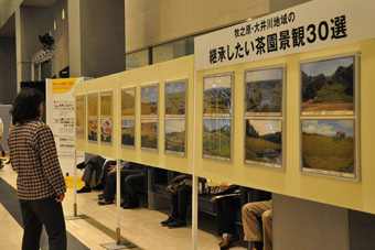 Photo Exhibition: “30 scenes of tea fields along Makinohara and Oi River”